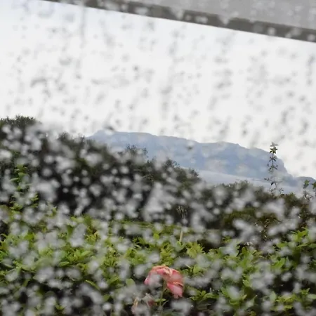 Sa Domitta Di Suiles *