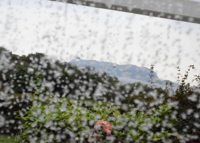 Sa Domitta Di Suiles *