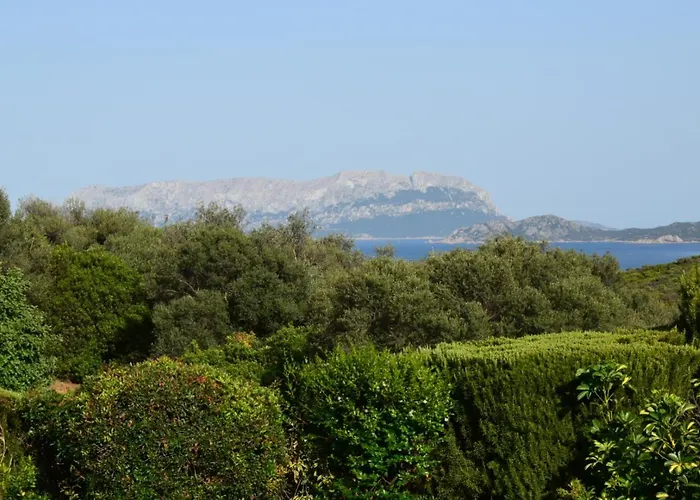 Sa Domitta Di Suiles Appartamento Olbia