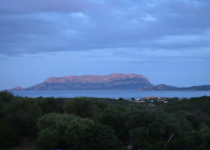 Sa Domitta Di Suiles