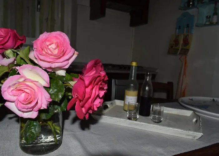 Sa Domitta Di Suiles * Olbia